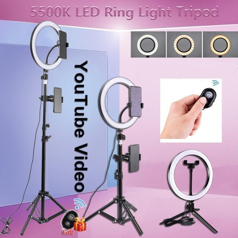 Image of 26cm Ring light with Stand Photography Youtube OEBLD LED Selfie Three-speed Cold Warm Lighting Dimmable LED Ring Light